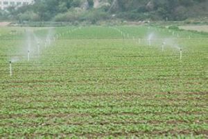 隆南居委會 隆南居委會