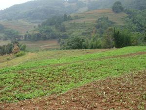 鋪堵自然村 鋪堵自然村