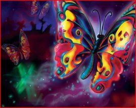 卡申夫鬼美人鳳蝶 卡申夫鬼美人鳳蝶