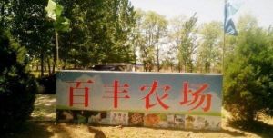 百豐農場 百豐農場