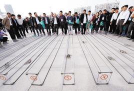 螃蟹運動會 螃蟹運動會