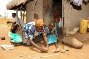 基特古姆區 基特古姆區