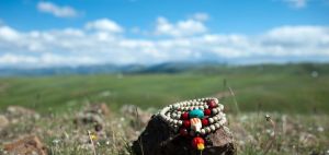 塔斯特風景區 塔斯特風景區