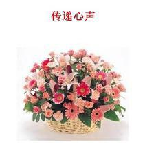 心聲[漢語詞語]