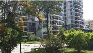 翠亨豪園 翠亨豪園