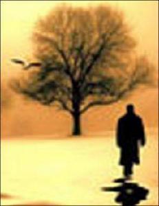 重生擎天 重生擎天