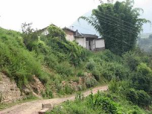 新興大橋村 新興大橋村