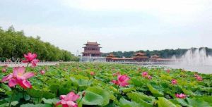 南戴河大觀園 南戴河大觀園