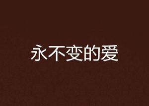 永不變的愛 永不變的愛