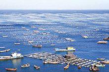 海洋自然保護區管理辦法