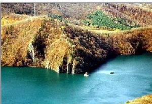 白雞腰森林公園