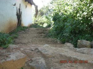 陳家院村 陳家院村