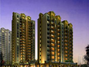 鵬基諾亞山林 鵬基諾亞山林