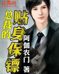 總裁的貼身保鏢 總裁的貼身保鏢