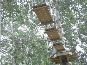 快樂猩猩樹上探險主題公園