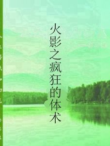 火影之瘋狂的體術