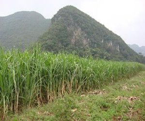 小橫塘自然村 小橫塘自然村