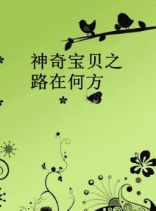 神奇寶貝之路在何方 神奇寶貝之路在何方