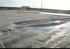 營口鹽場 營口鹽場