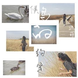 候鳥的約定 候鳥的約定