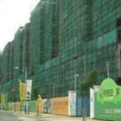 甲殼蟲2933 甲殼蟲2933