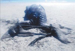 連體鯨魚 連體鯨魚