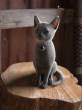 奧克蘭媒體設計學校