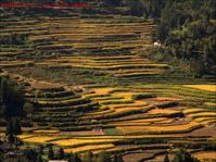 江南丘陵 江南丘陵