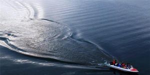 三岔湖國際垂釣露營基地