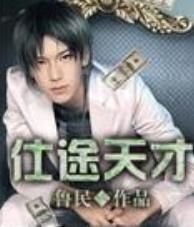 仕途天才 仕途天才