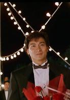 與龍共舞[1991年劉德華、張敏等主演電影]