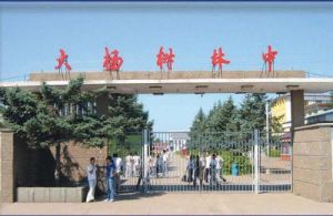 大楊樹林業中學 大楊樹林業中學