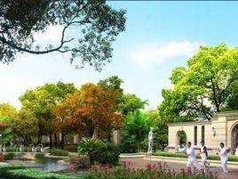 成都常青藤 成都常青藤