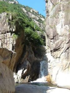 障山大峽谷 障山大峽谷