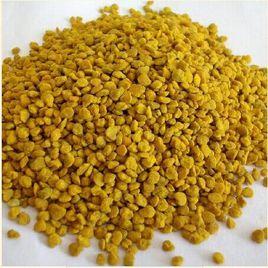 五味子花粉 五味子花粉