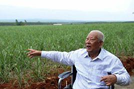 陳光保[民國時期南嶺山義軍首領]