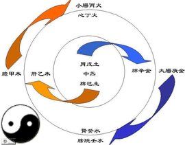 納音五行 納音五行