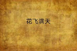 花飛滿天[小說]