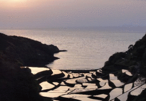 東松浦郡 東松浦郡