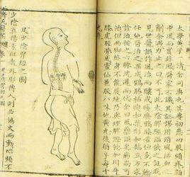 皇家醫事 皇家醫事