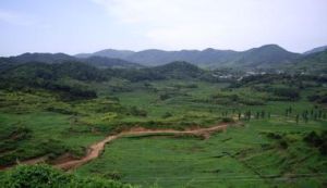 笑山林場 笑山林場