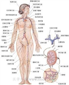 上頜竇惡性腫瘤