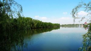 八家河漁場 八家河漁場