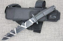 極端武力 極端武力