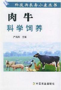 肉牛科學飼養 肉牛科學飼養