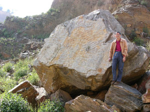 楊傑[雲南大學古生物學家]