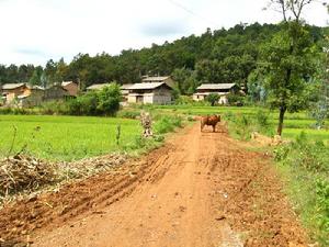 依叉黑新寨自然村 依叉黑新寨自然村