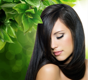 植物染髮秘方 植物染髮秘方