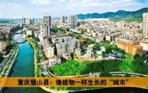 重慶璧山 重慶璧山