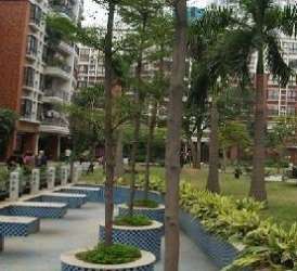 金溪茗苑 金溪茗苑